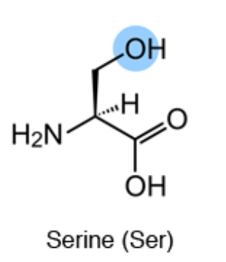글루타치온 효능