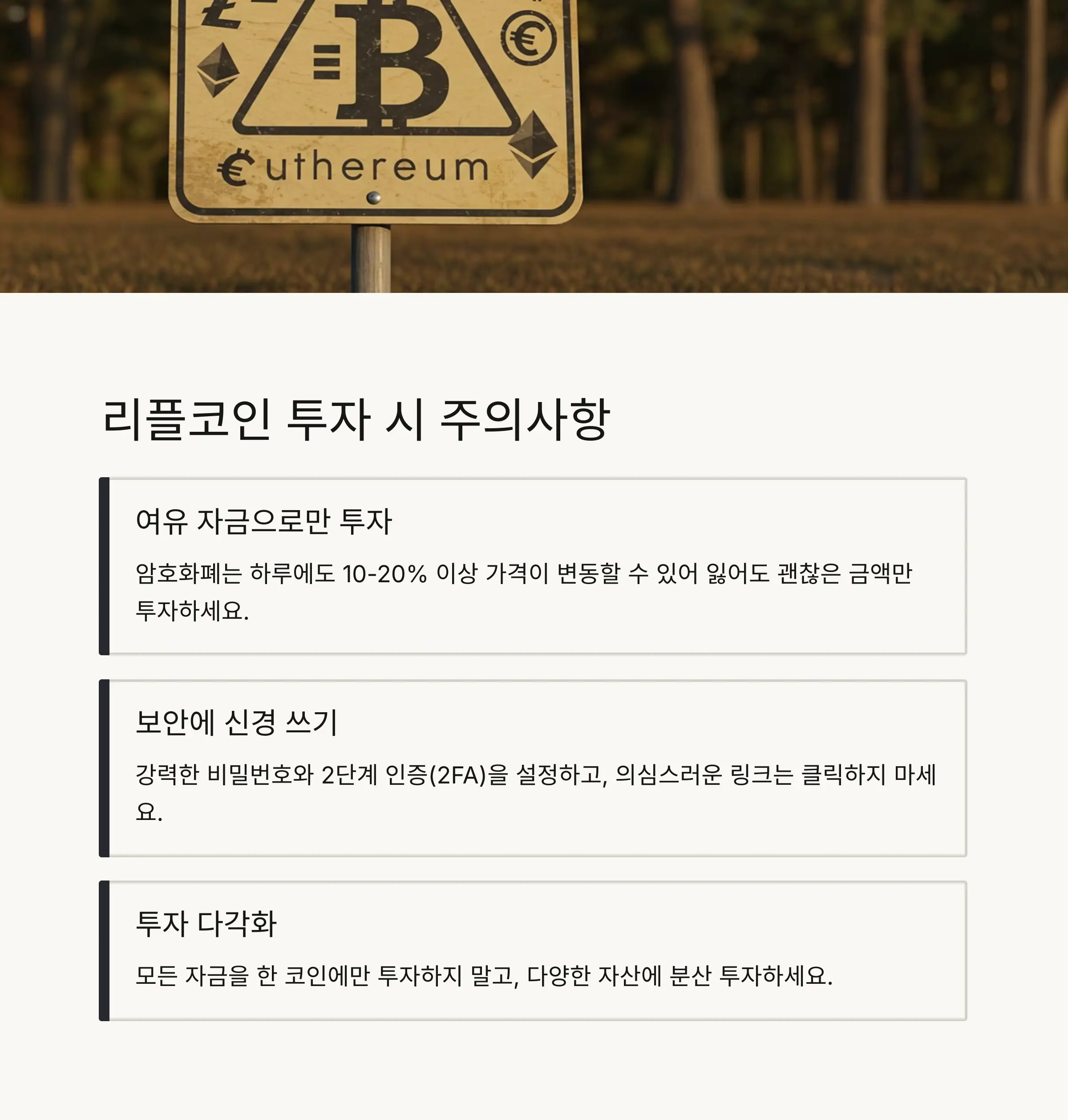 ⚠️ 리플코인 투자 시 주의사항