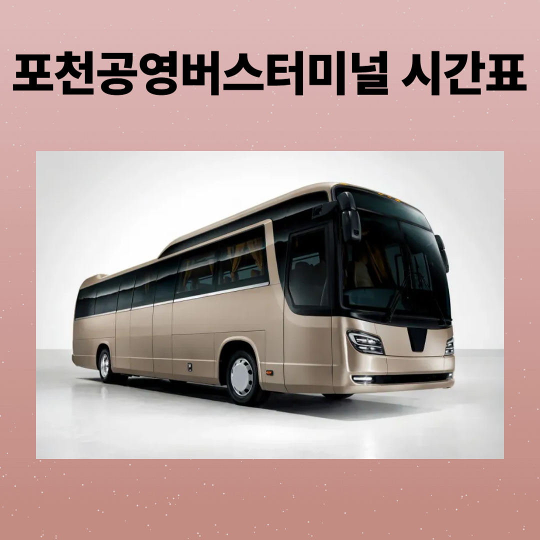 포천공영버스터미널 시간표 조회 및 예매, 주차장 정보 완전정리