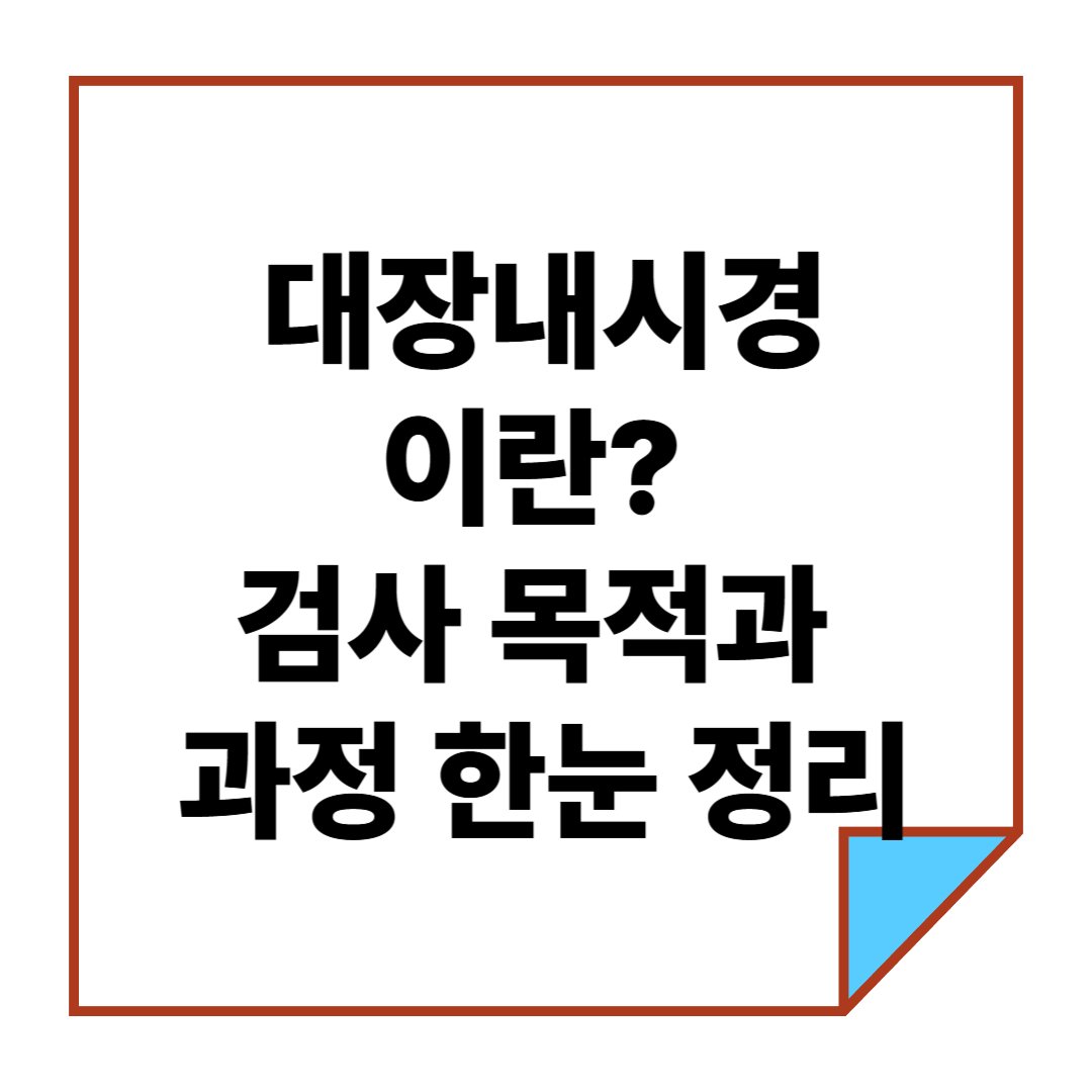 대장내시경이란? 검사 목적과 과정 한눈 정리