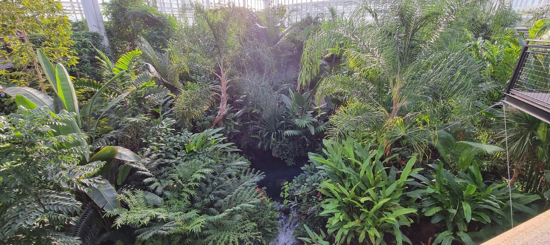 세종 국립 수목원