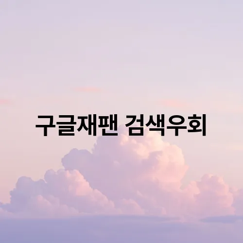 구글재팬 검색우회