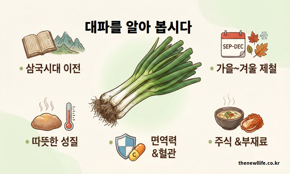 대파 효능 기원 유래