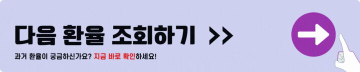 다음 환율조회