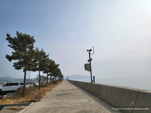 영종도 왕산 마리나 항