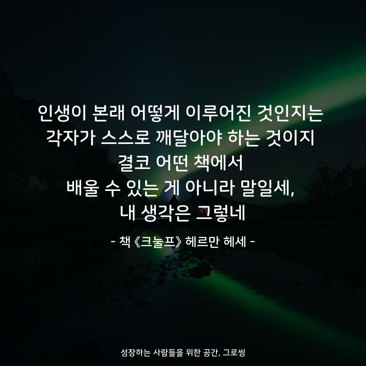 인생이 본래 어떻게 이루어진 것인지는
각자가 스스로 깨달아야 하는 것이지
결코 어떤 책에서
배울 수 있는 게 아니라 말일세,
내 생각은 그렇네