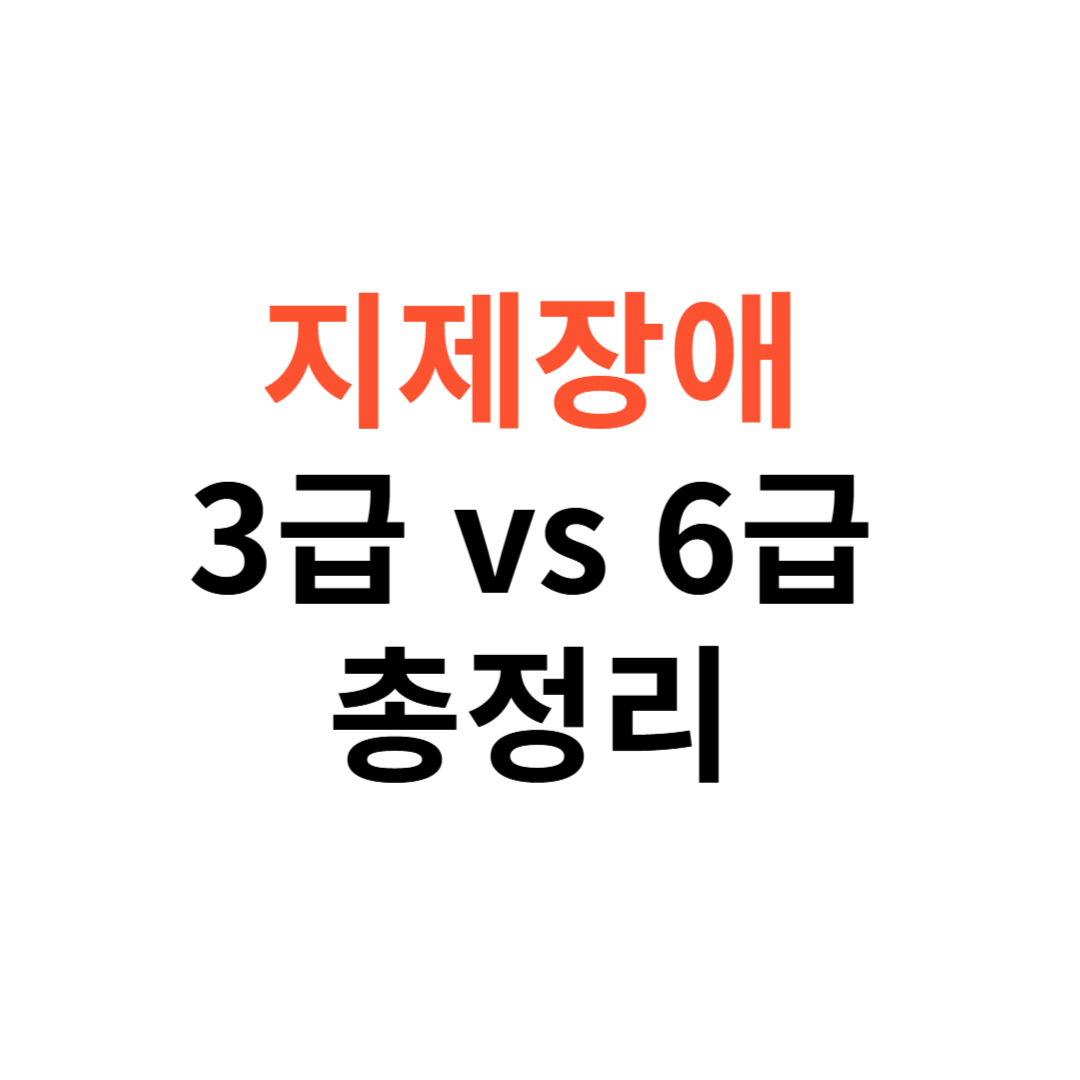 지체장애 3급 vs 6급
