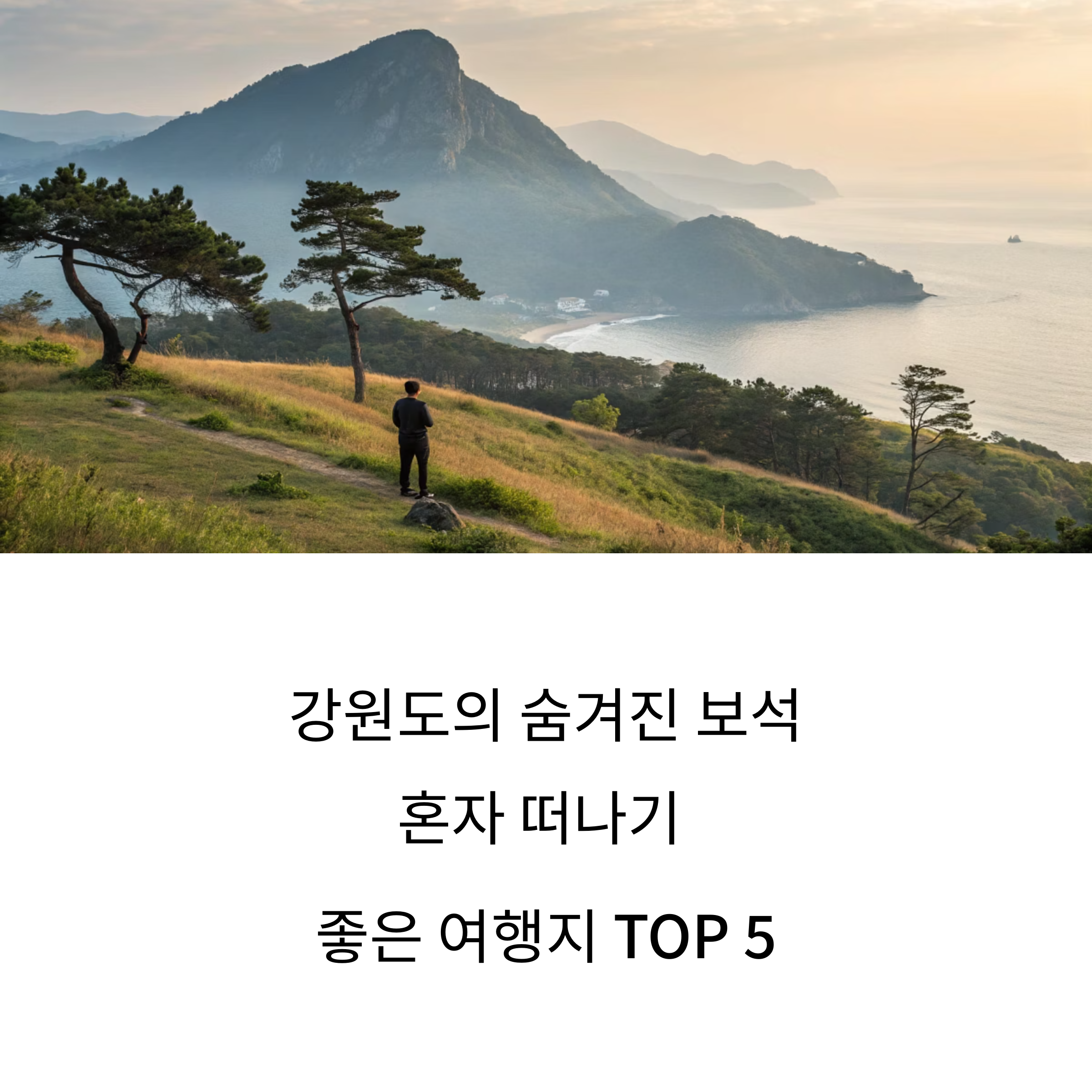 혼자하는 강원도 여행지 추천