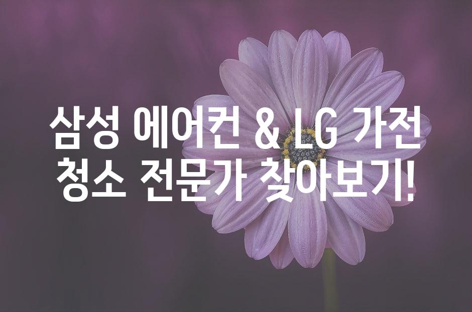 샘플 (50)