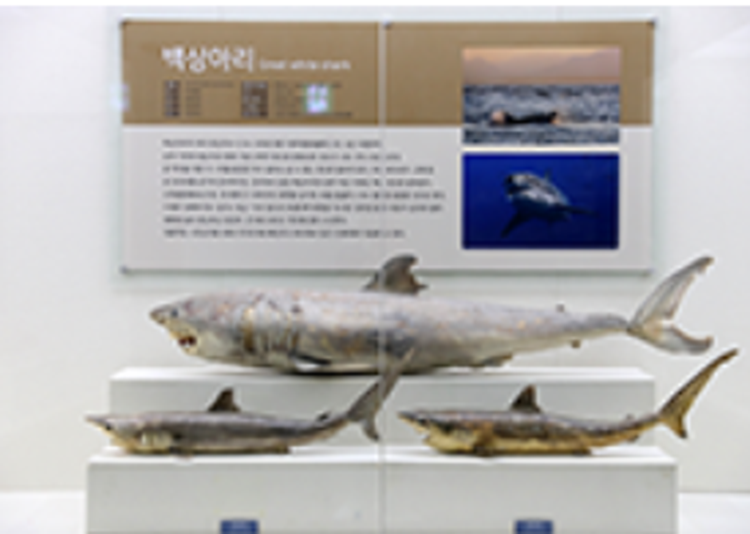 진해 해양공원
