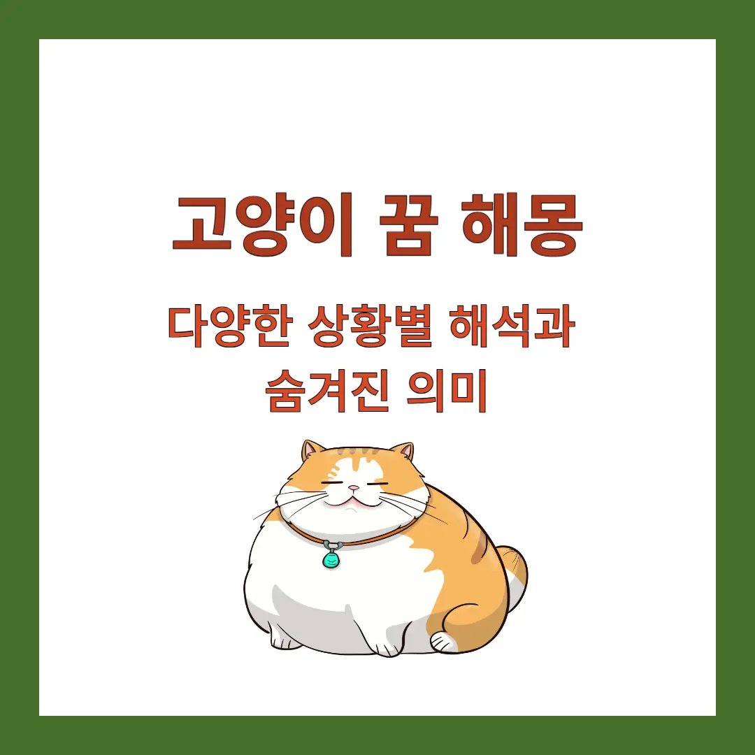 고양이-꿈