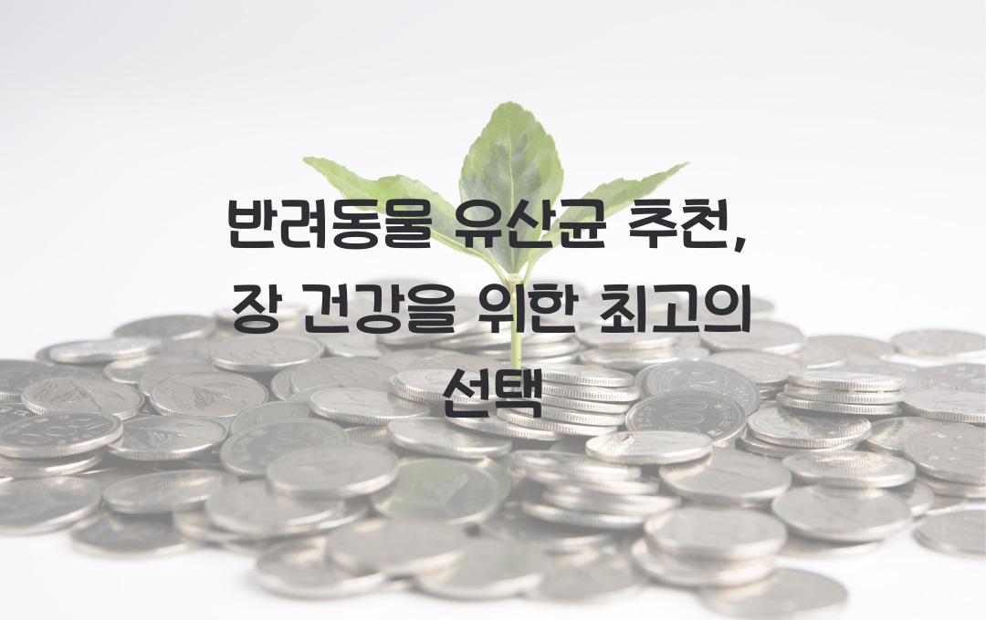 반려동물 유산균 추천, 장 건강을 위한 선택
