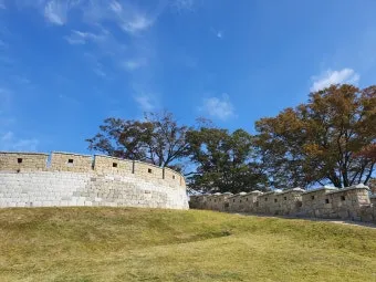 강화도 당일치기 완벽 코스 교동도 대룡시장부터 강화성당 금풍양조장까지로 구성_24