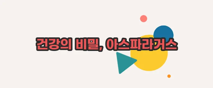 아스파라거스 효능 지금 시작해보겠습니다