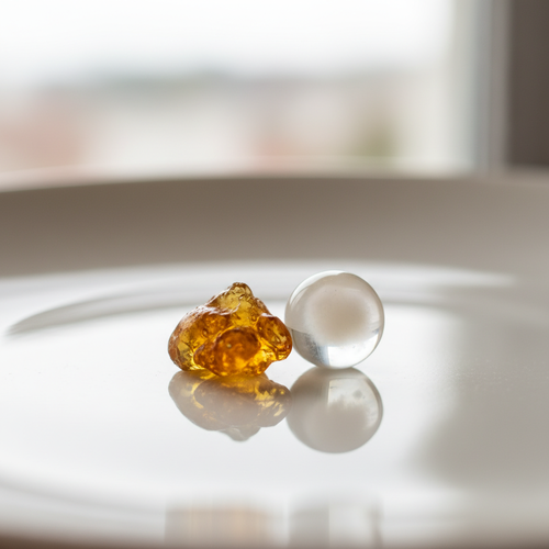 매스틱 유산균의 특별한 효능과 역할