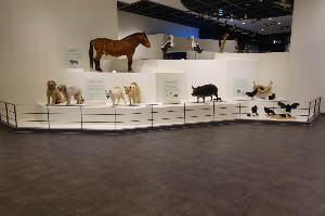 천연기념물센터