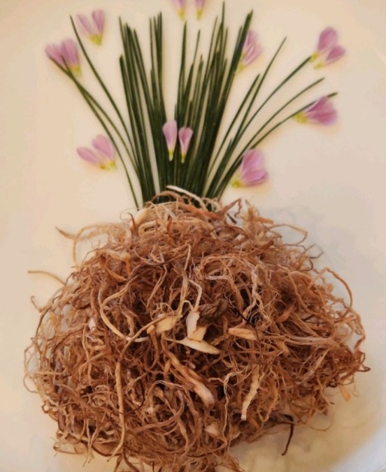 군산-지미원-궁중한정식-유현자-요리-명장