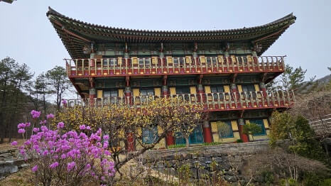 계룡 무상사 : 백제 불교의 숨결과 세계 불교가 만나는 수행 도량