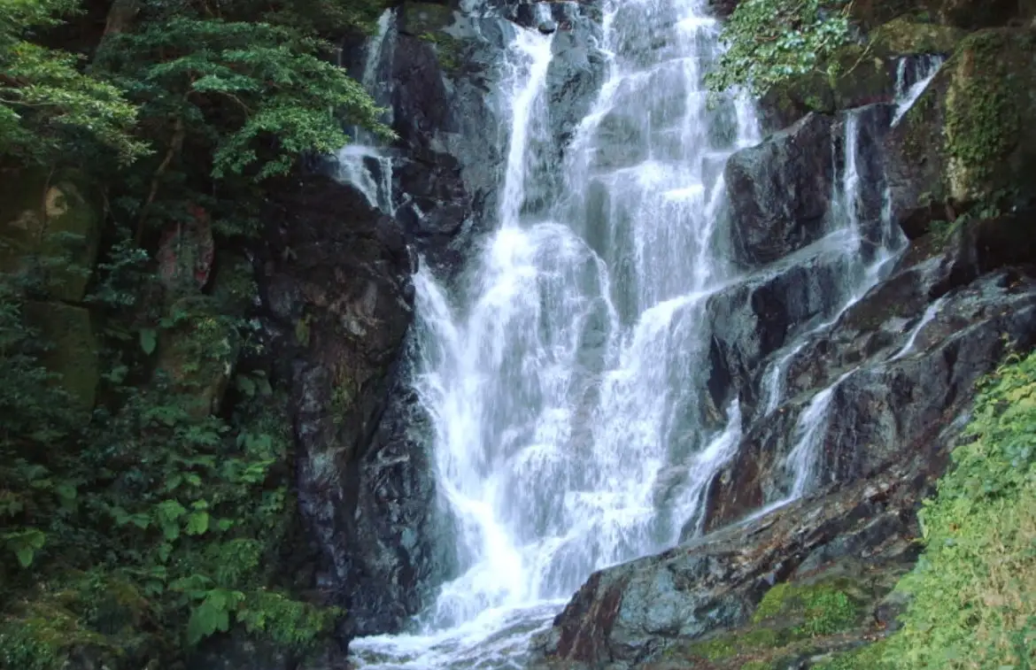 후쿠오카 최고의 휴식 명소 시라이토의 폭포