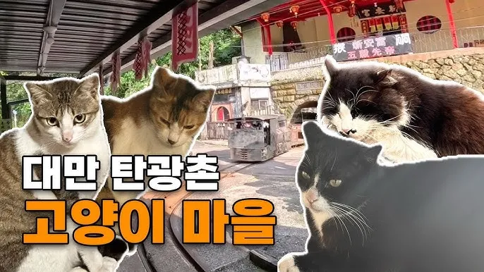 &amp;quot;대만
