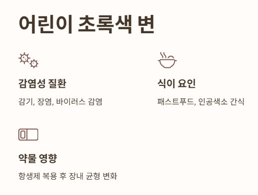 어린이 초록색 변