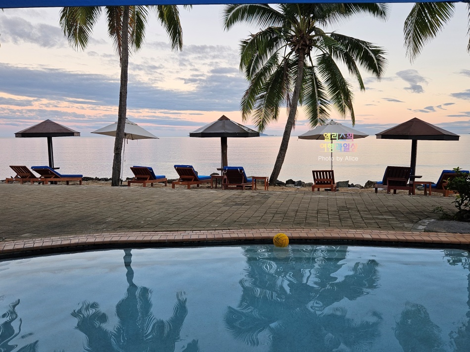 호텔 포인트 프로모션: 힐튼 100% 추가적립(~09.19) IHG 90% 추가적립 (~08.07)