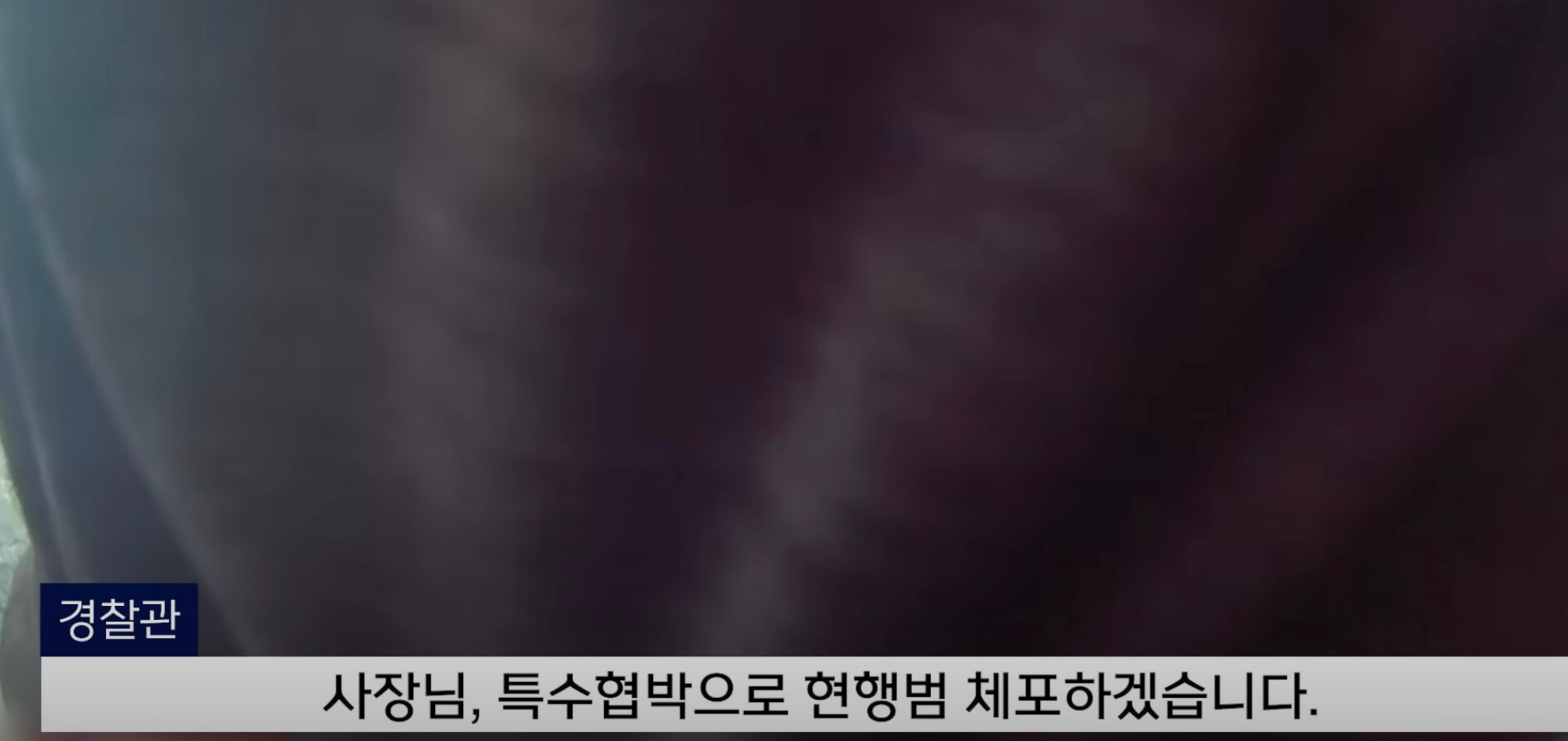 체포되는 범인