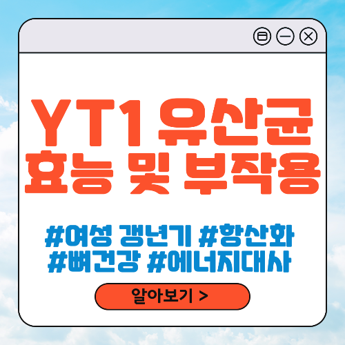 YT1 유산균 효능 및 부작용