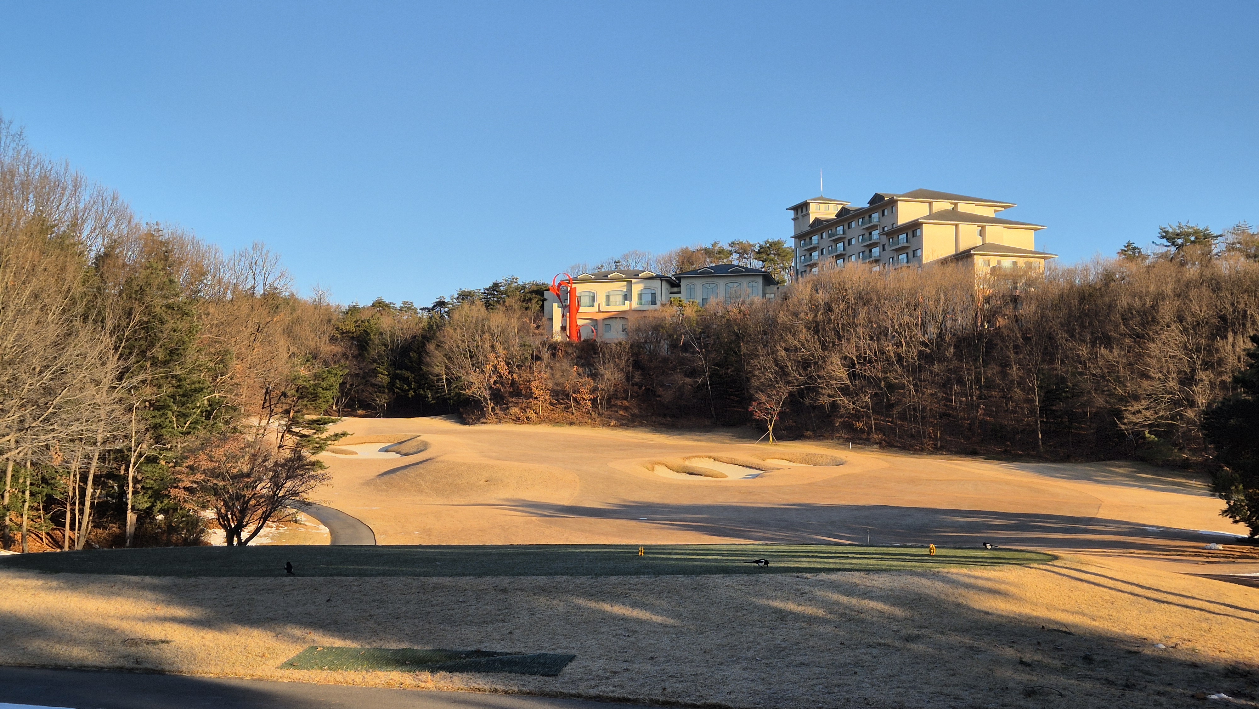 오크밸리cc 메이플 코스 사진 및 공략 정보