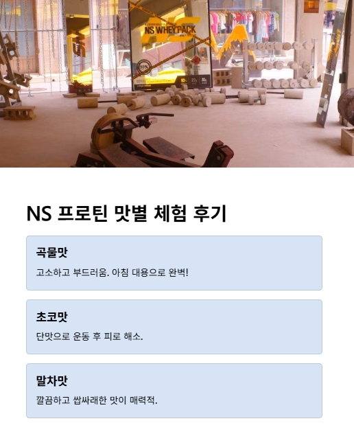 ns 프로틴 맛별 체험 후기