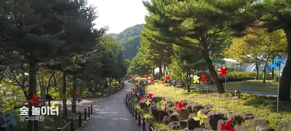 양구수목원 여행