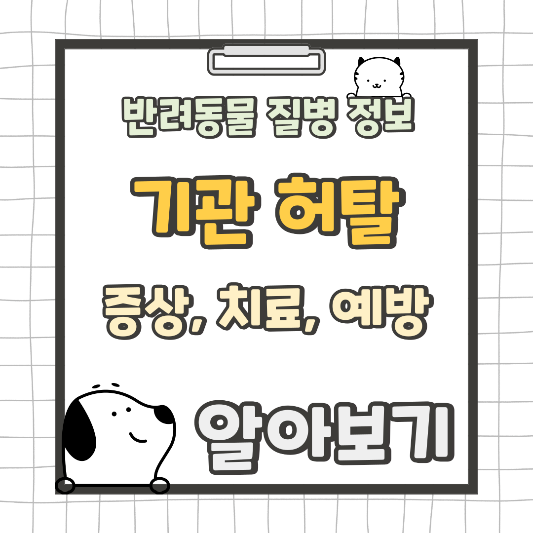 기관 허탈 루원 센트럴 동물의료센터