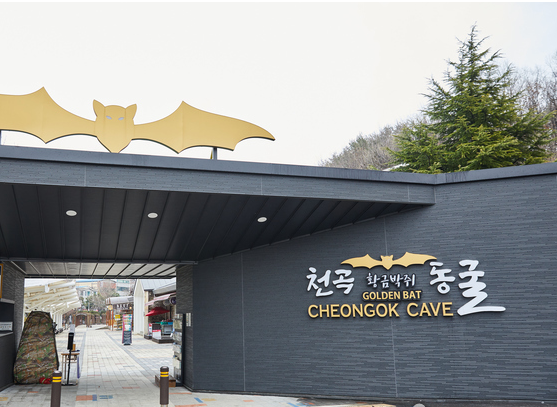 천곡황금박쥐동굴