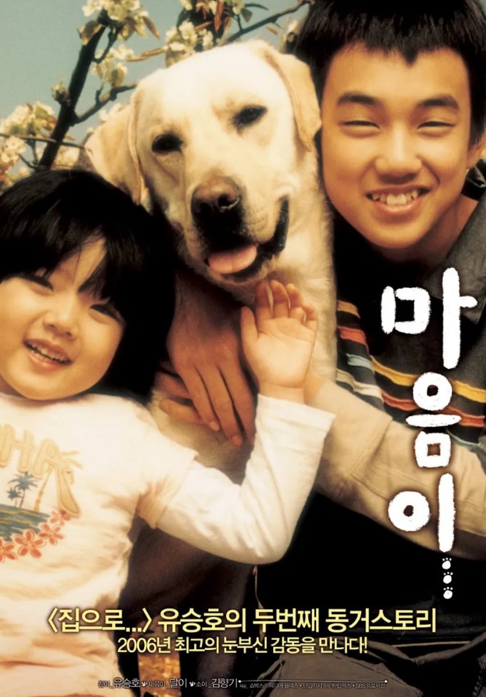 마음이... 포스터 사진