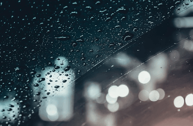 비오는날 자동차 습기 제거 방법