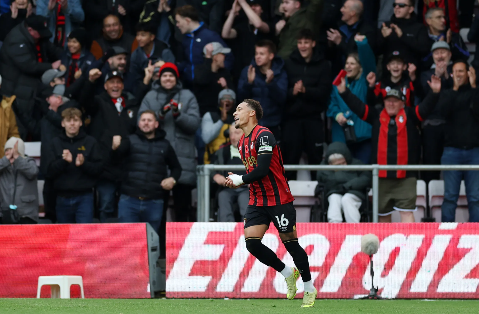 마커스 태버니어 사진