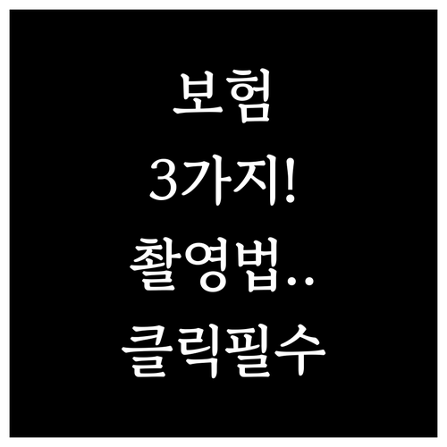 고양이 보험 청구 서류 3가지와 촬영..