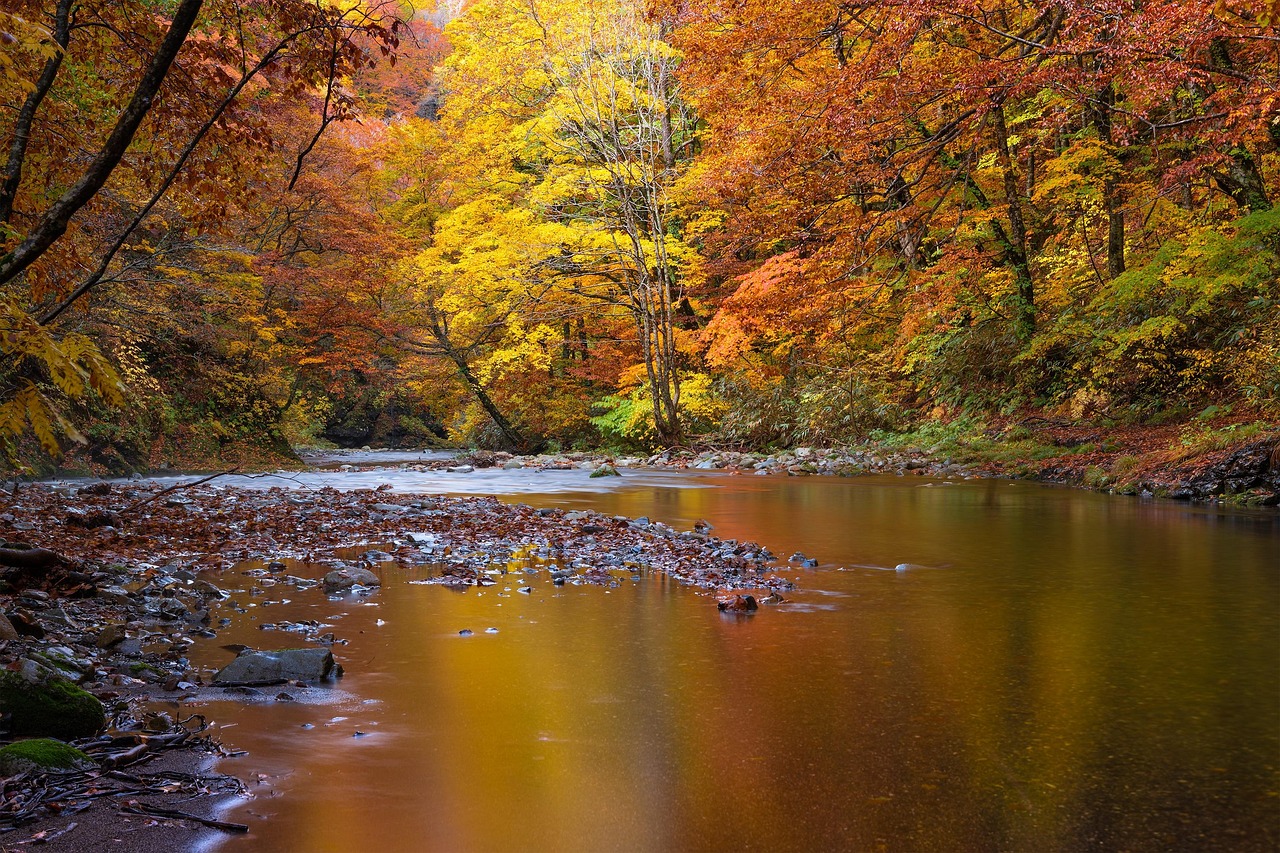 수면의 질 높이는 습관법 관련 사진