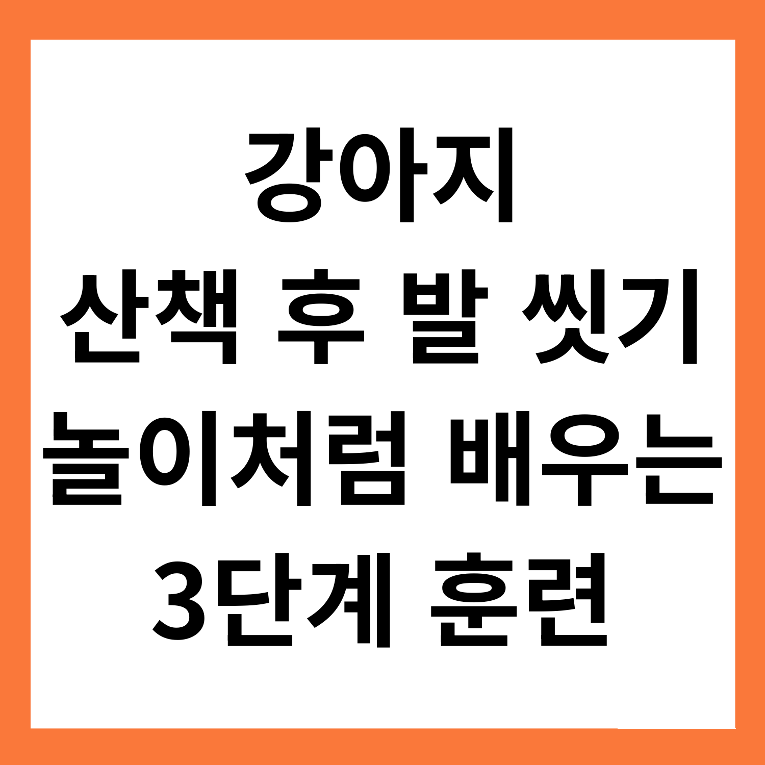 강아지 산책 후 발 씻기 훈련법: 놀이처럼 익히는 3단계