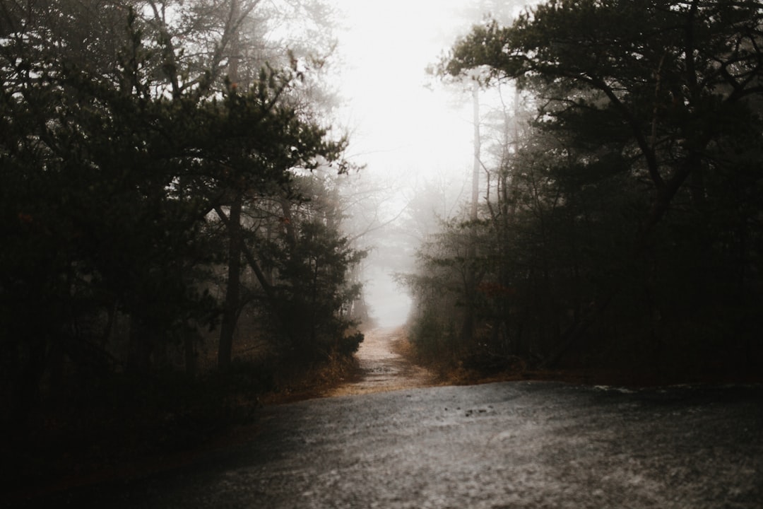 Shortcut