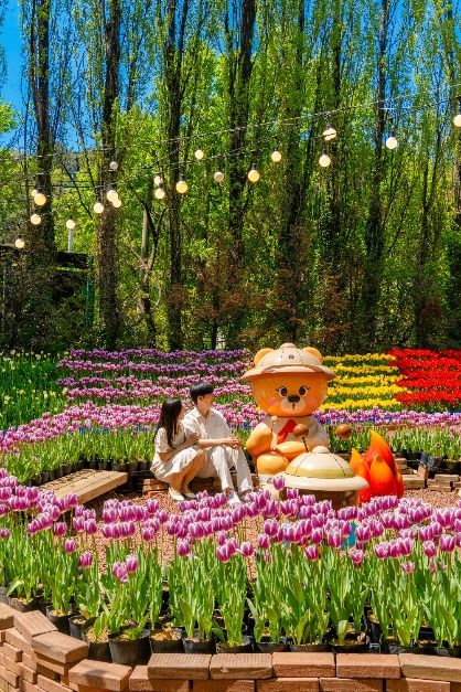 이월드 튤립 사진