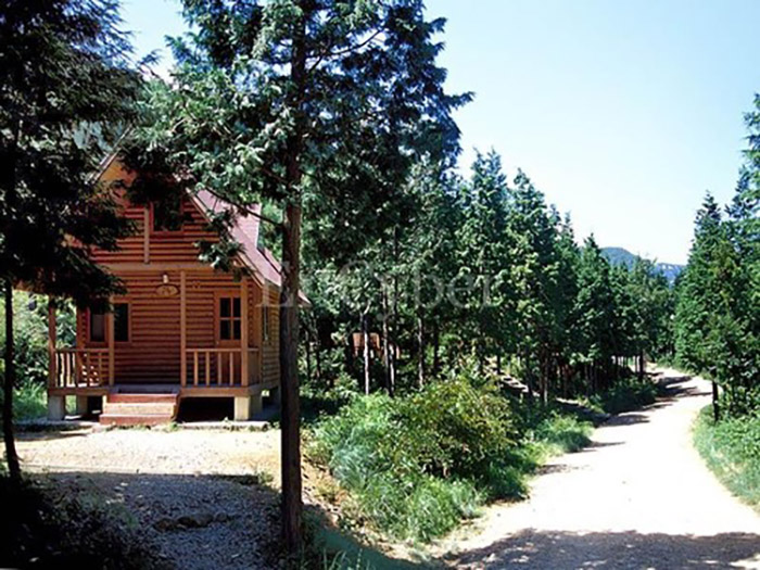 남해편백자연휴양림