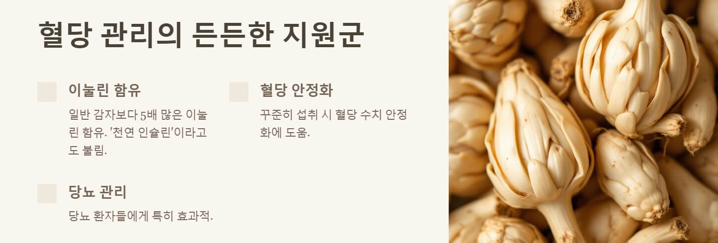 카무트 효소 효능 먹는법