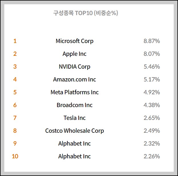 Tiger 미국나스닥100 구성종목 Top10