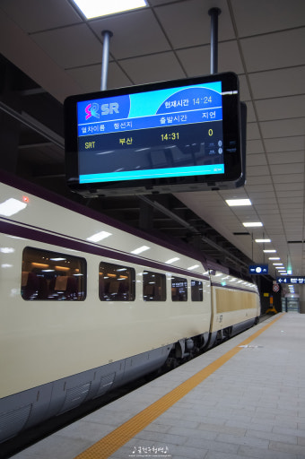 2025년 기준 SRT 예매 할인제도 완벽 정리!