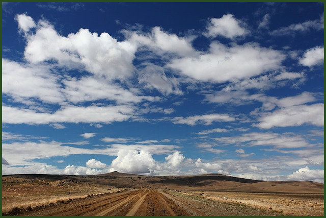 완주군 민생회복지원금 신청