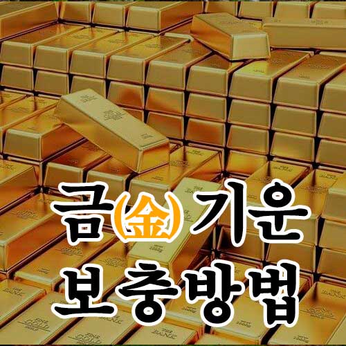 금기운 보충 방법 - 썸네일