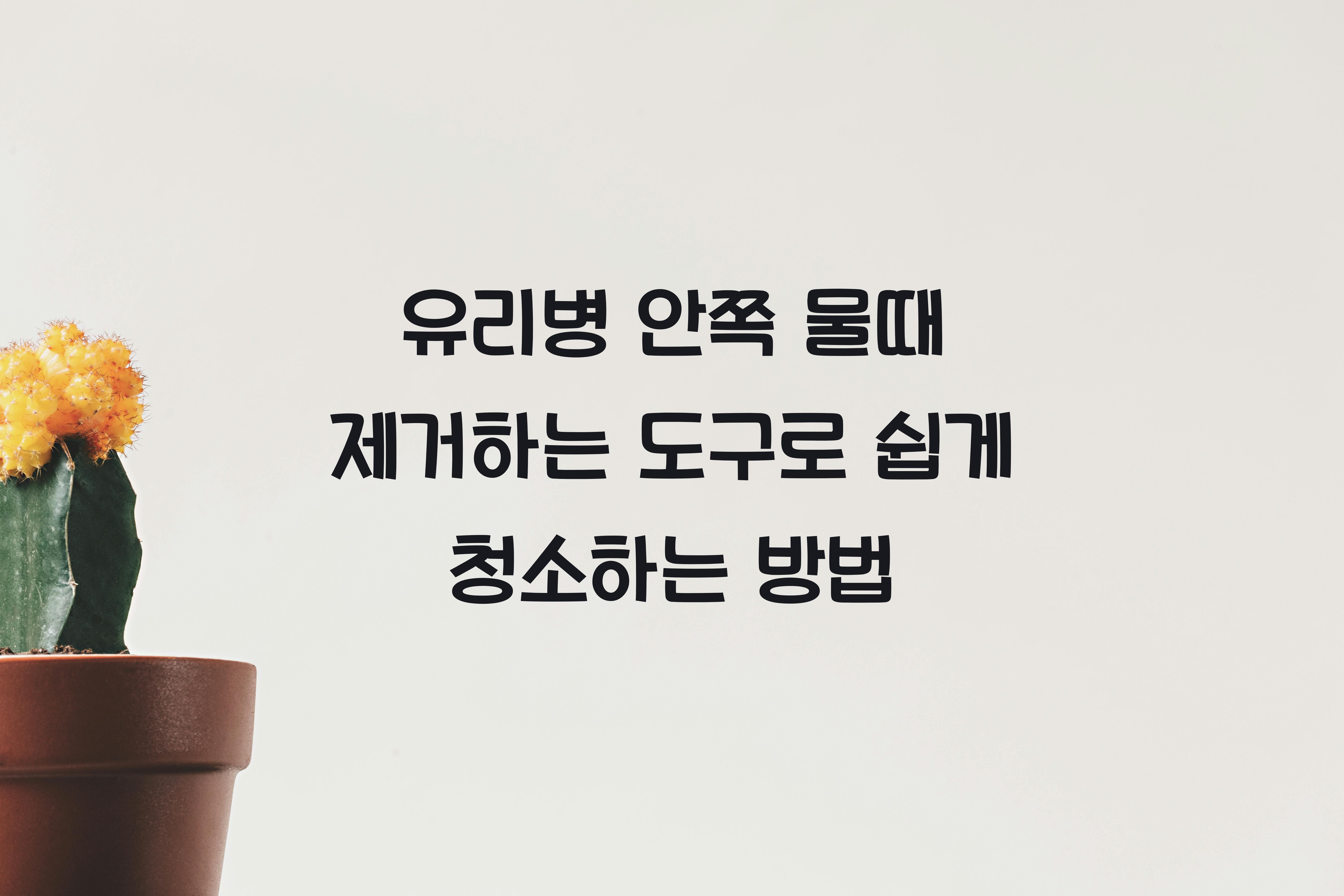 유리병 안쪽 물때 제거하는 도구