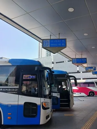 부산 동부시외버스터미널 시간표 예약 예매_26
