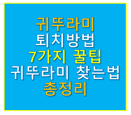 귀뚜라미 퇴치법